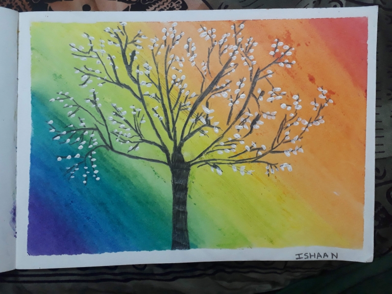 Colourful tree579